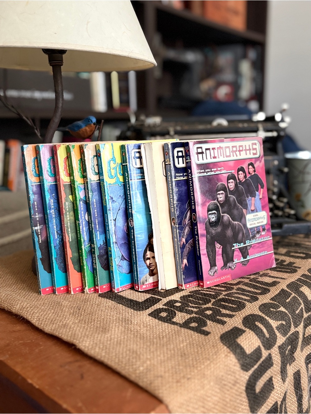 Vintage Goosebumps/Animorphs Book Lot